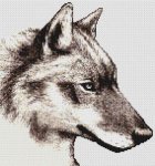 (image for) Kalinka - Wolf